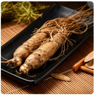 Panax Ginseng Extract